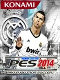 http://gamet.mobie.in/Anh1132/pes.jpg